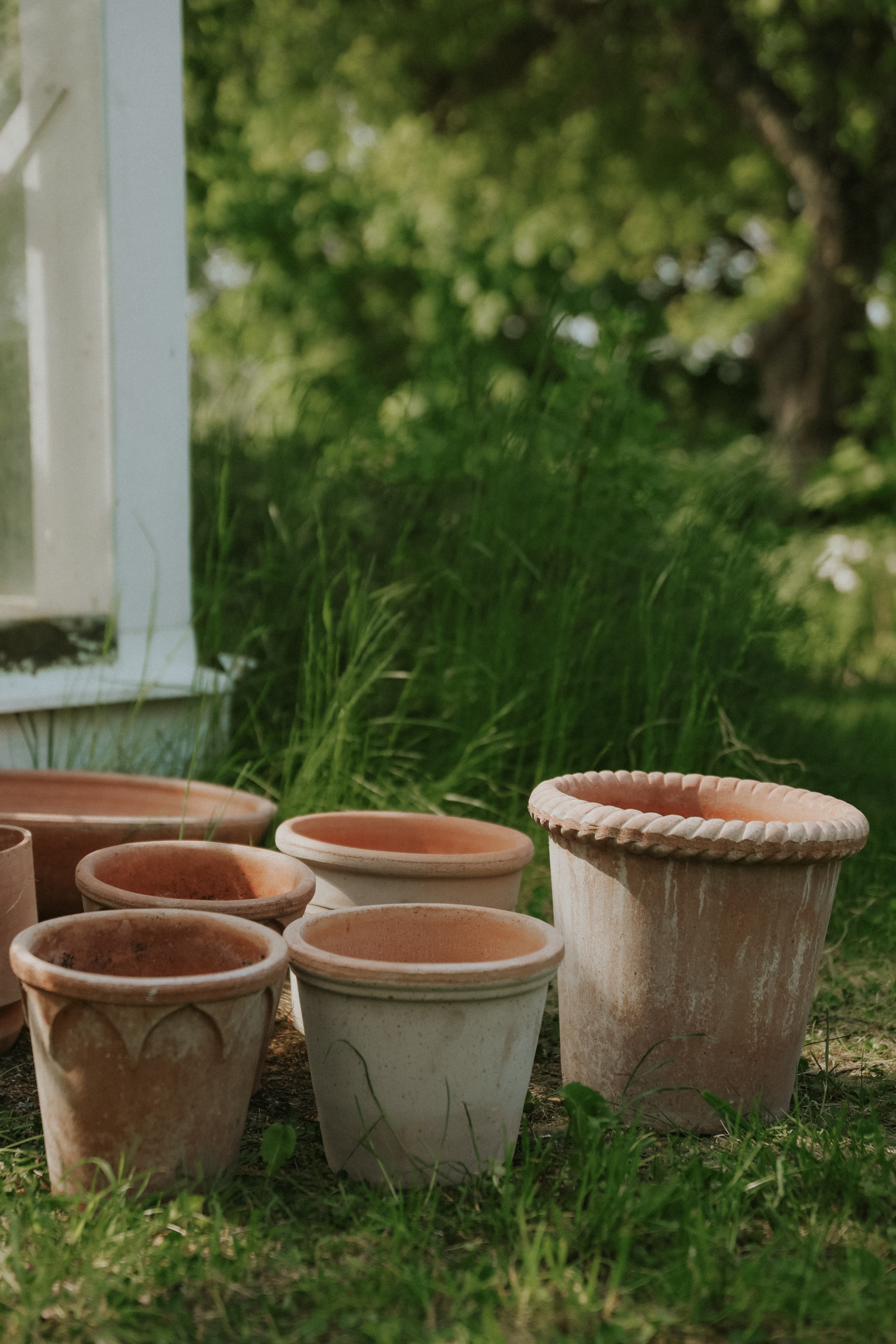 Bergs_Potter_Elizabeth_Flora_E