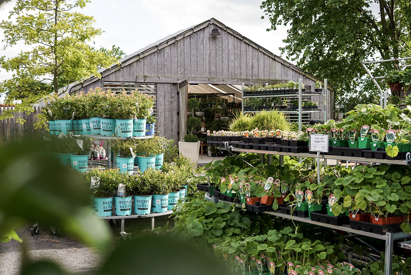 【BEAT GARDEN】 Left Handed Peace Eyes Bomb Black Ox HLX 6.0 Wedge Set (52°, 56