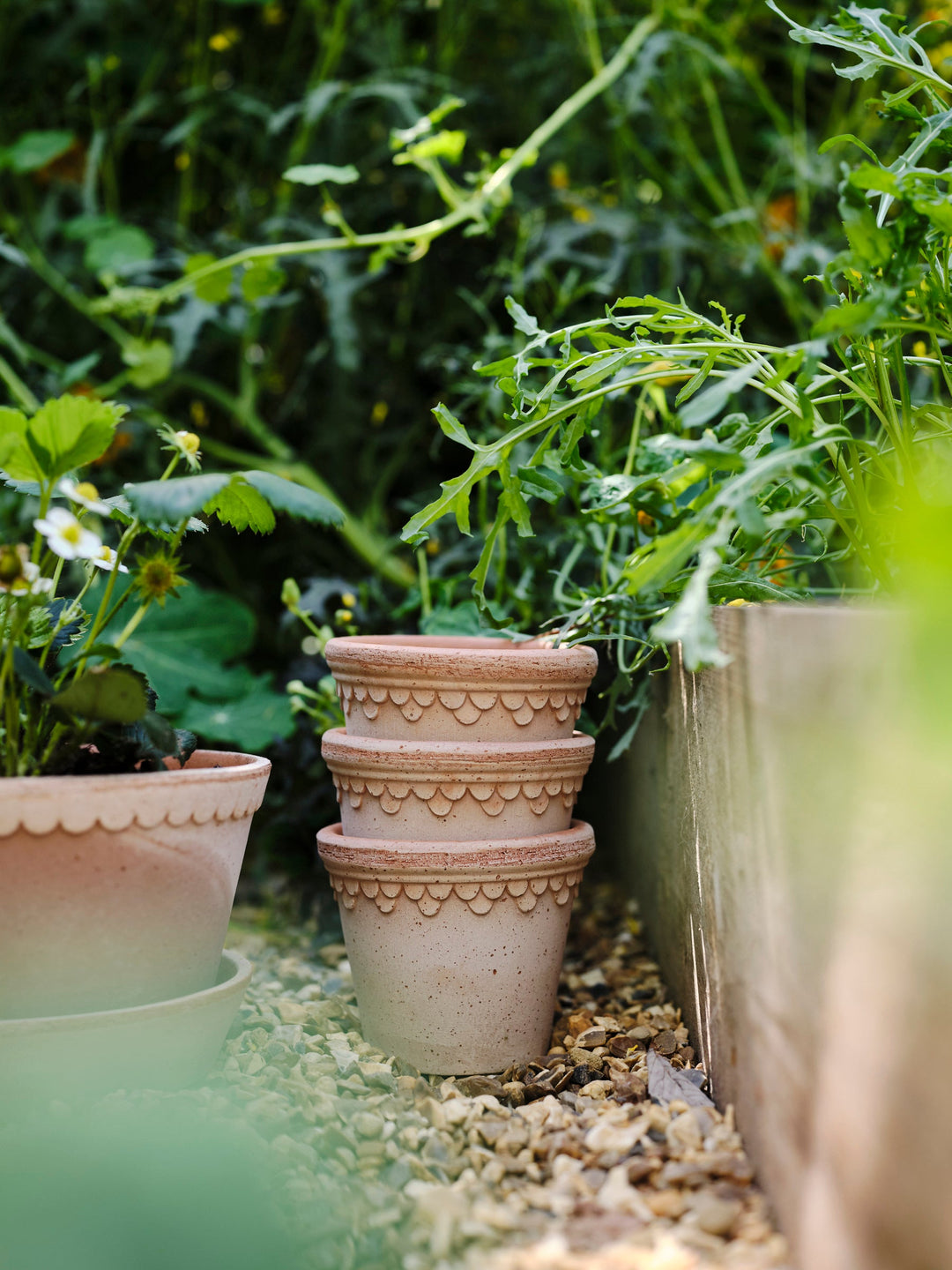 Bergs Potter – Bast Brothers Garden Center