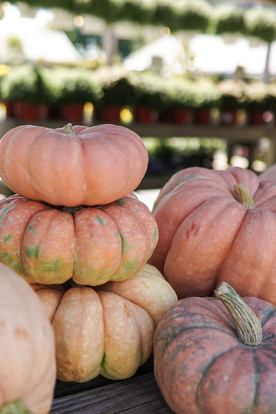 Pumpkins