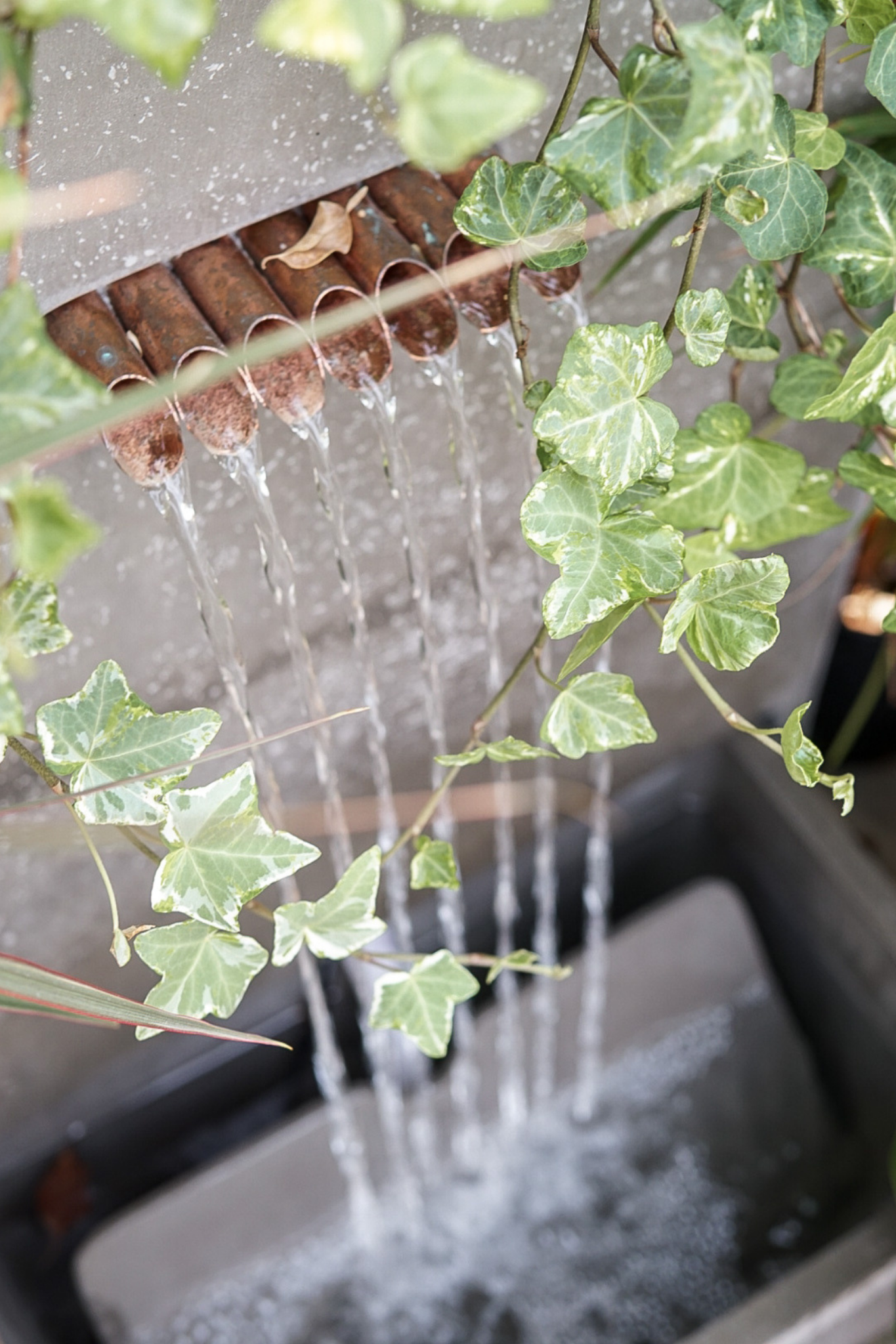 Water Fountains