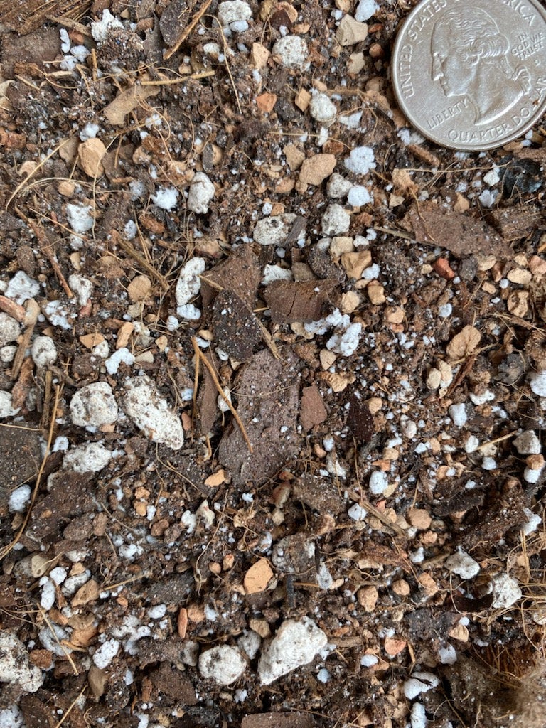 Sol Soils 4qt Houseplant Chunky Mix – Bast Brothers Garden Center