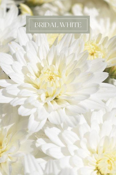 Mum #9 White