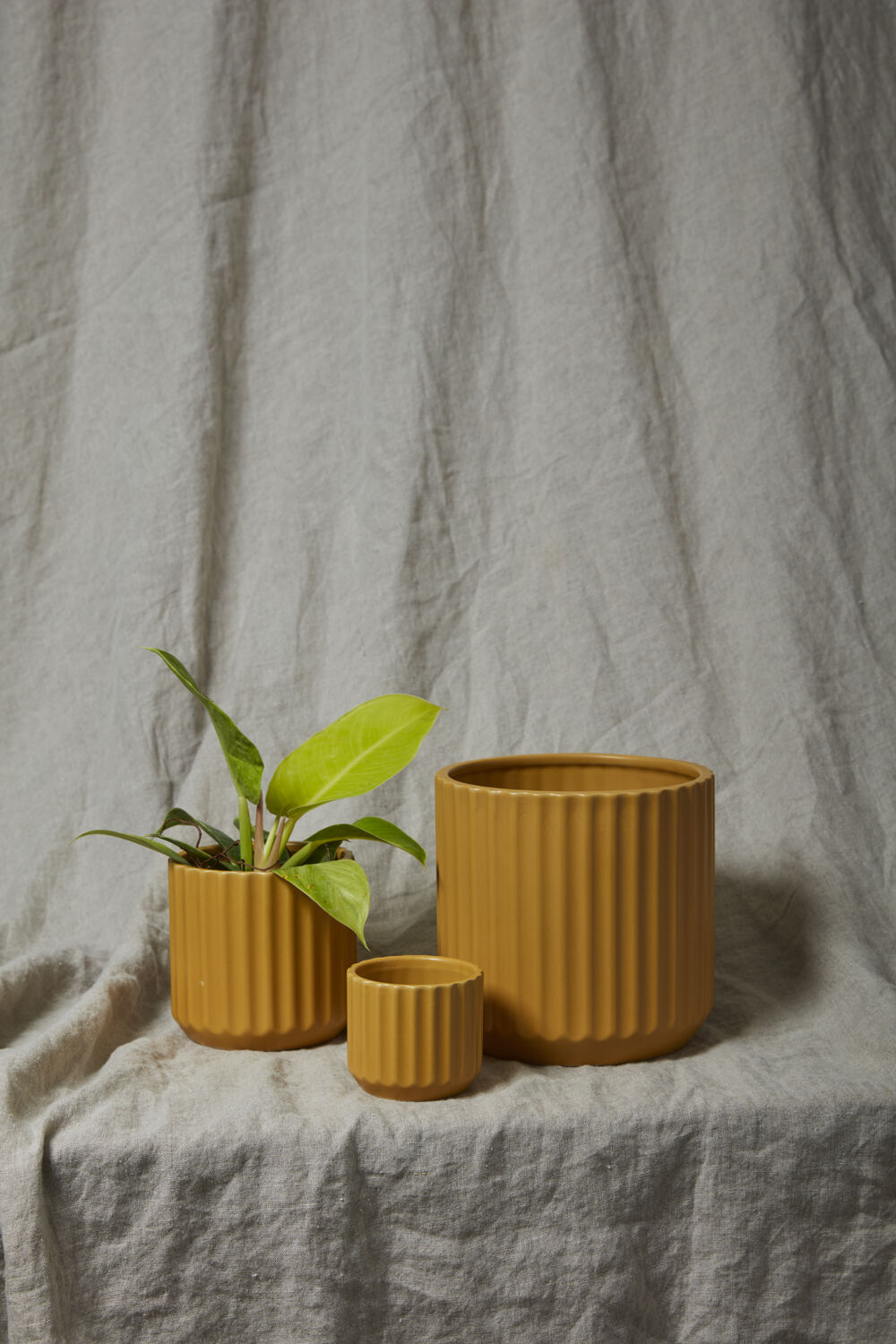 Ochre Beam Pot, 3"