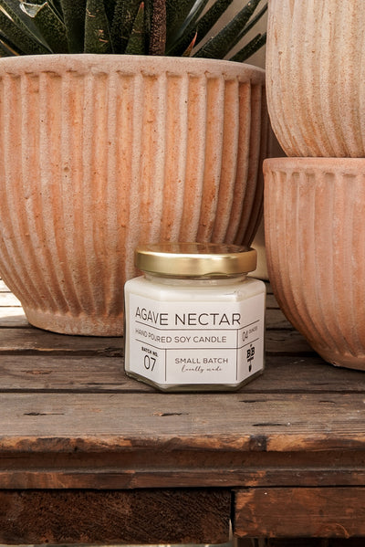 04 Ounce Agave Nectar Candle