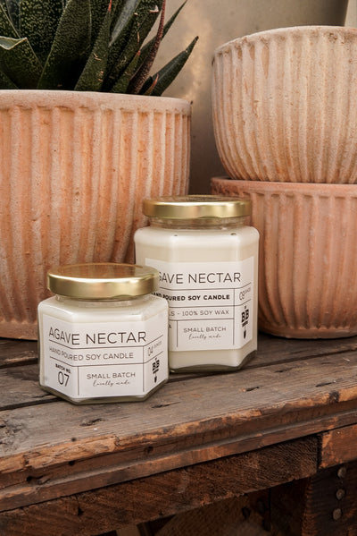 04 Ounce Agave Nectar Candle