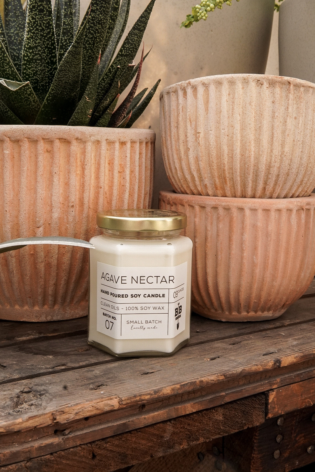 09 Ounce Agave Nectar Candle