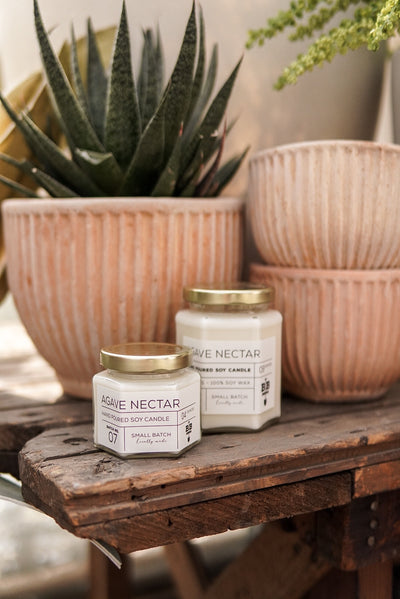 09 Ounce Agave Nectar Candle
