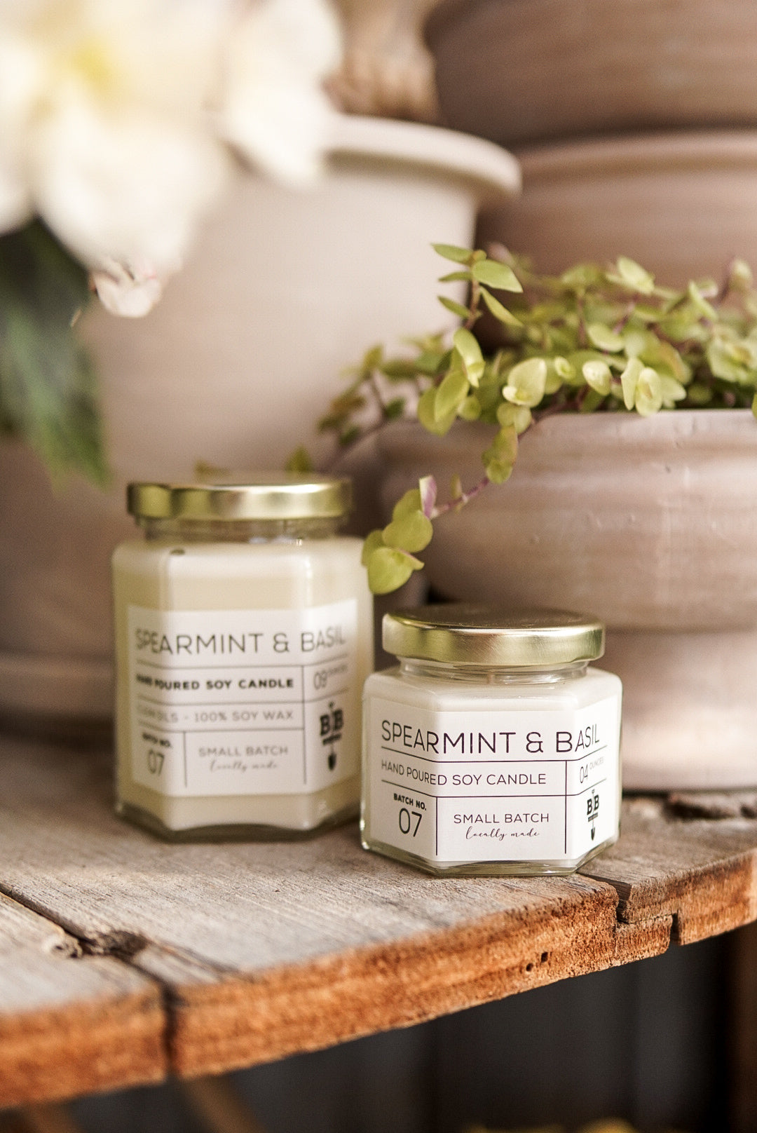 09 Ounce Spearmint & Basil Candle