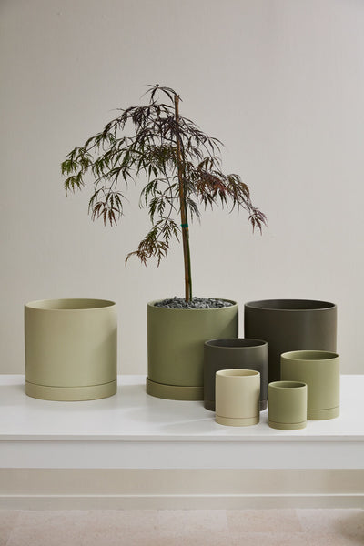 Romey Pot 5", Tan