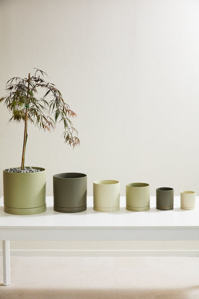 Romey Pot 5", Tan