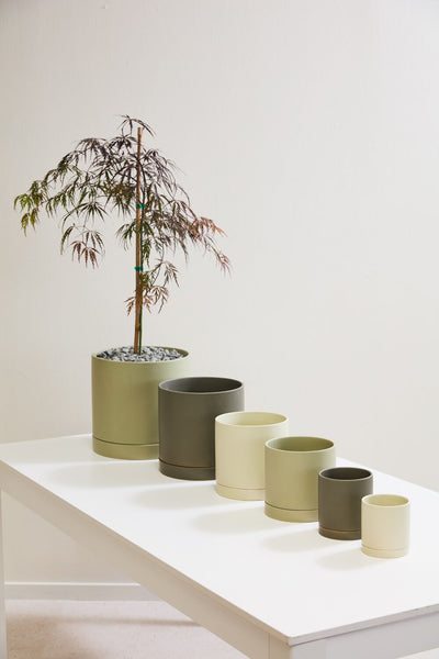 Romey Pot 5", Tan