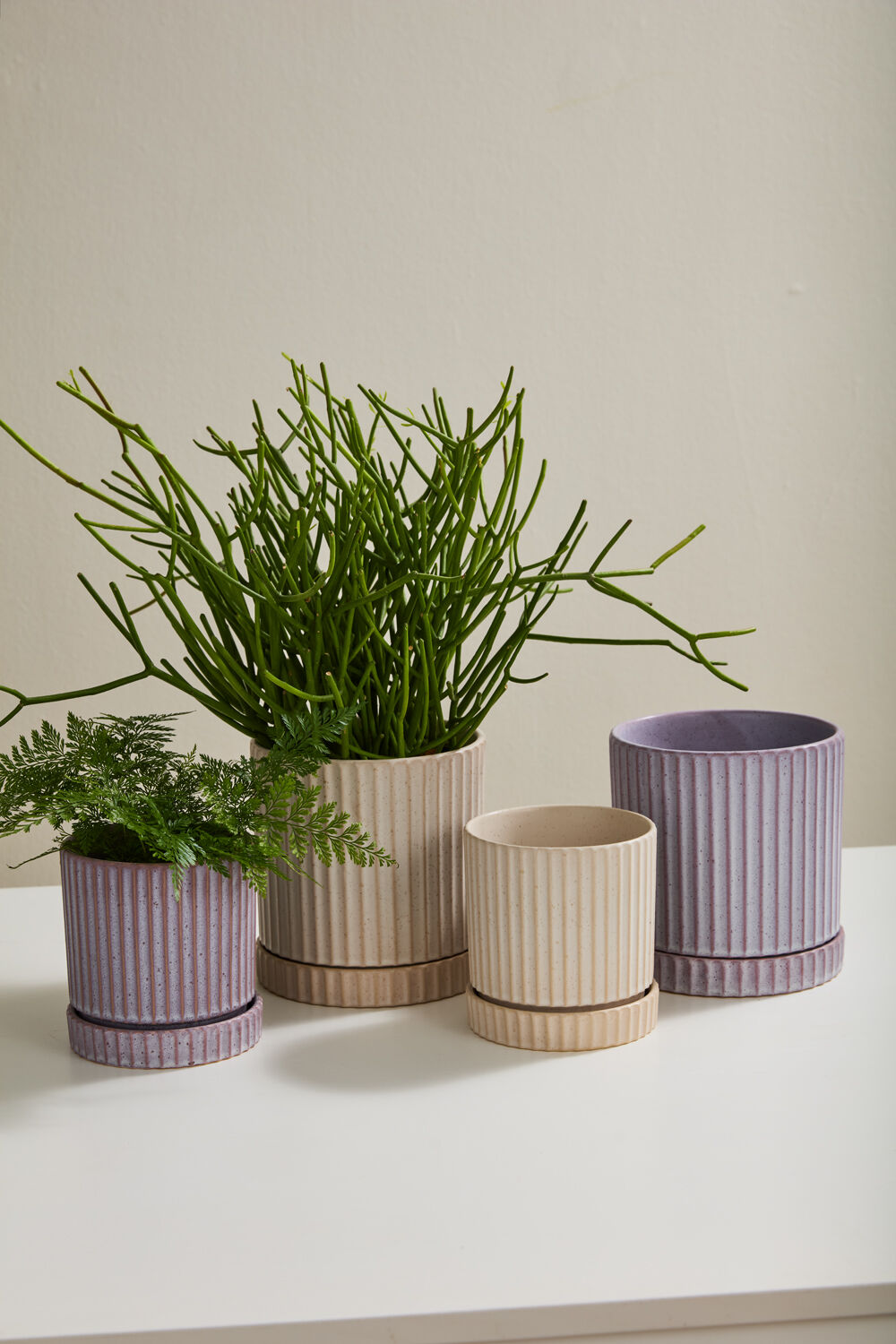 Off-White Los Feliz Pot w/ Saucer, 4.5"