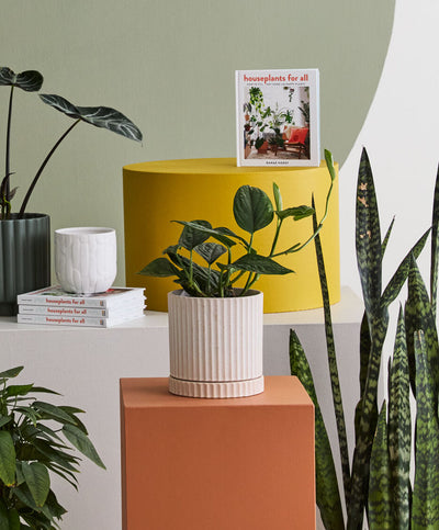 Off-White Los Feliz Pot w/ Saucer, 6"