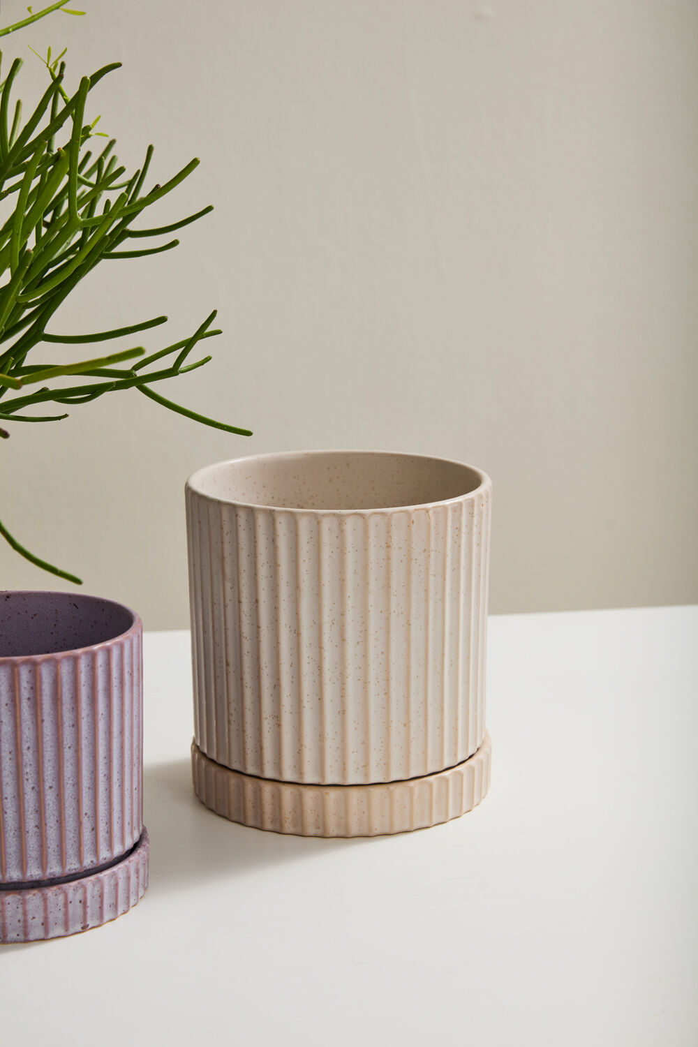 Off-White Los Feliz Pot w/ Saucer, 6"