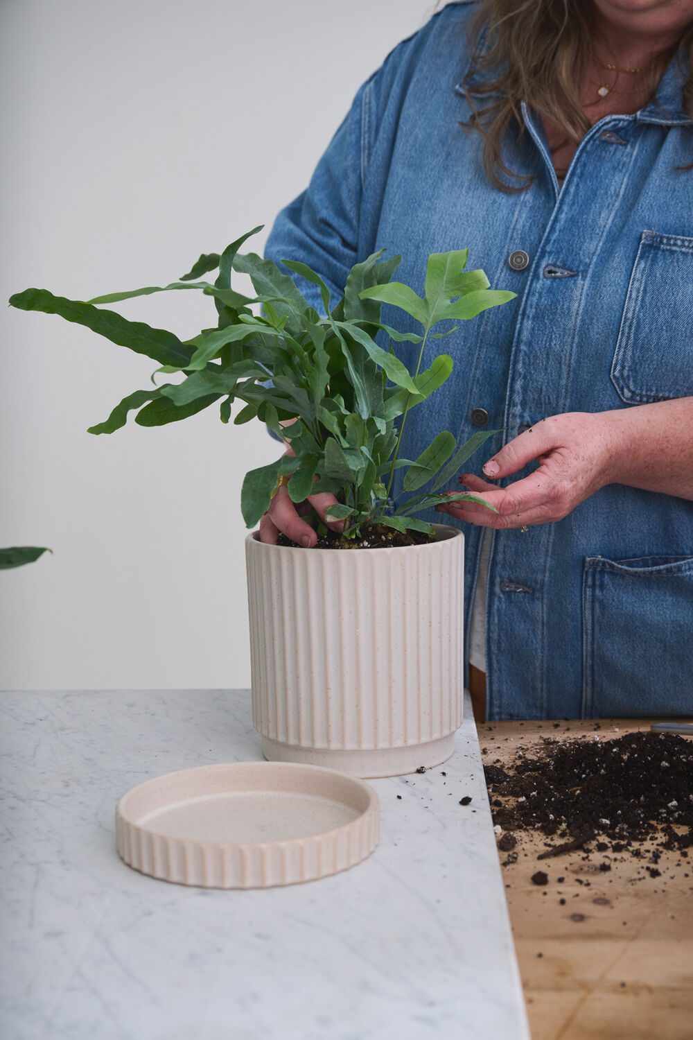 Off-White Los Feliz Pot w/ Saucer, 6"