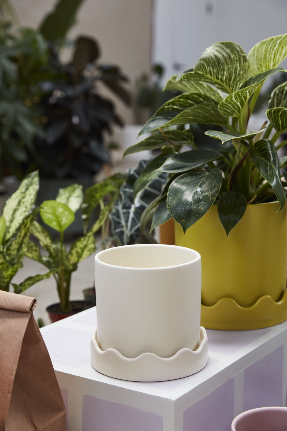 Cream Pissaro Pot w/ Saucer, 5"