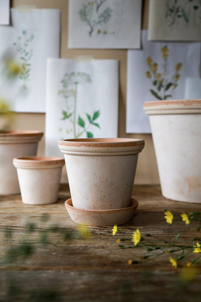 Bergs Flora Terracotta Pot, Rosa, 14cm (5.5")