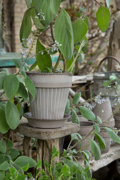 Bergs Simona Terracotta Pot, Grey, 16cm (6.3")
