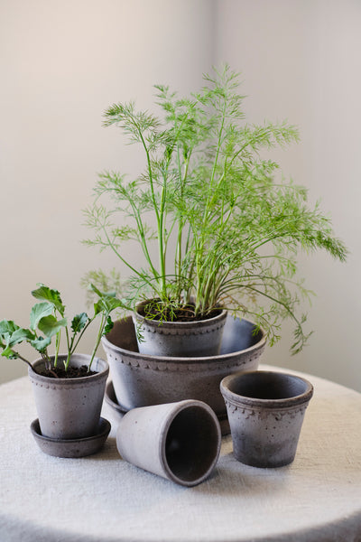 Bergs Helena Terracotta Pot, Grey, 16cm (6.3")