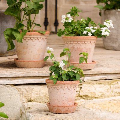 Bergs Københavner Terracotta Pot, Rosa, 16cm (6.3")