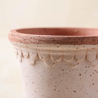 Bergs Københavner Terracotta Pot, Rosa, 16cm (6.3")