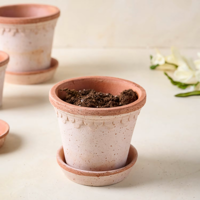 Bergs Københavner Terracotta Pot, Rose, 12cm (4.7")