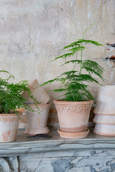 Bergs Københavner Terracotta Pot, Rosa, 21cm (8.3")