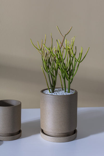 Tan Imogen Pot, 6"