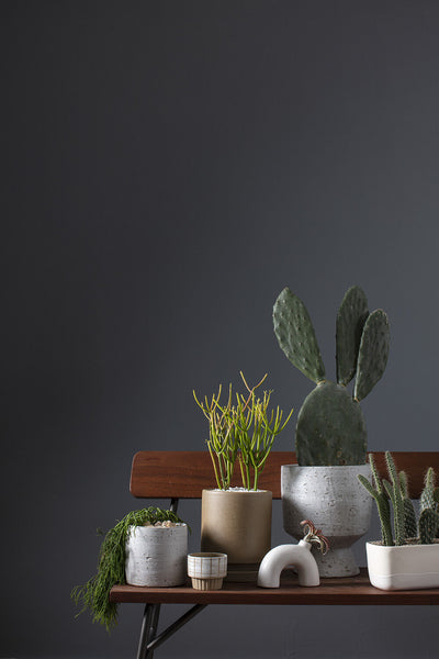 Tan Imogen Pot, 6"
