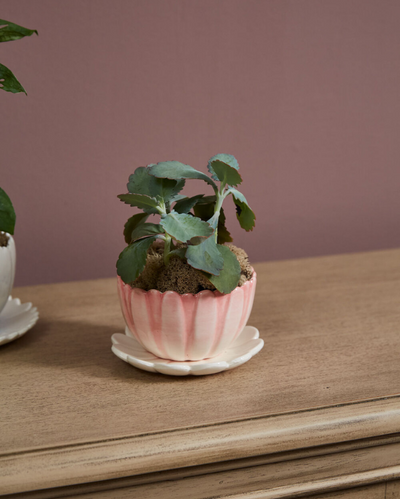 Little Flower Pot, Pink