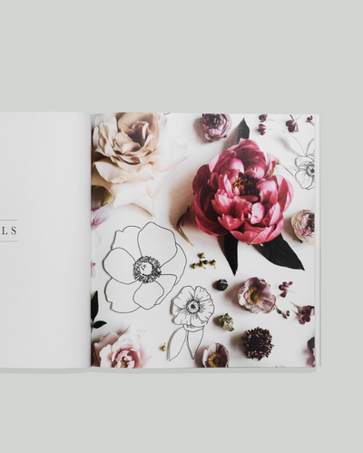 How to Draw: Modern Florals