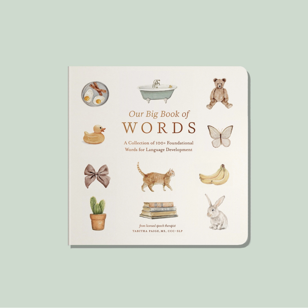 Our Big Book of First Words