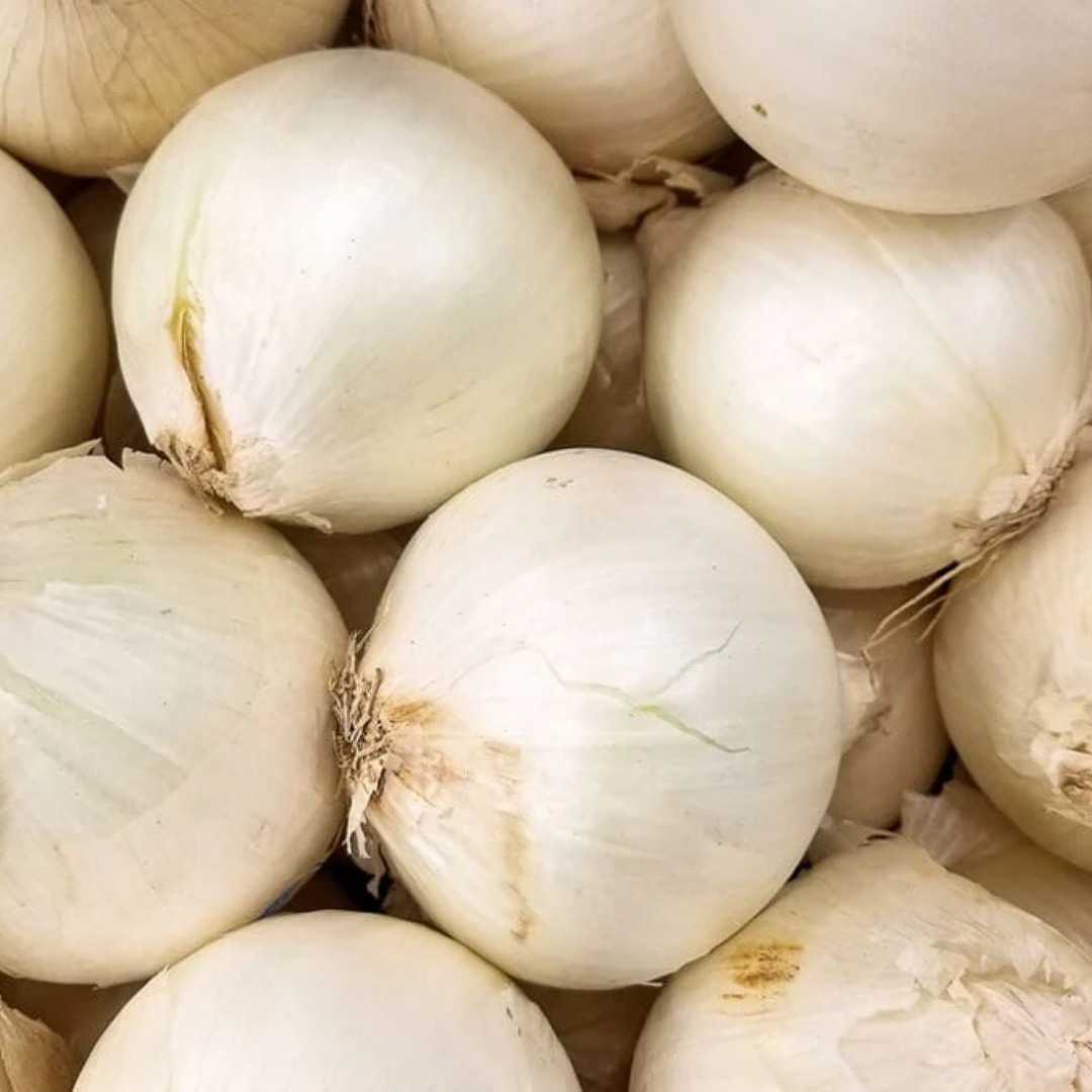 VEG - Onion - White Sweet