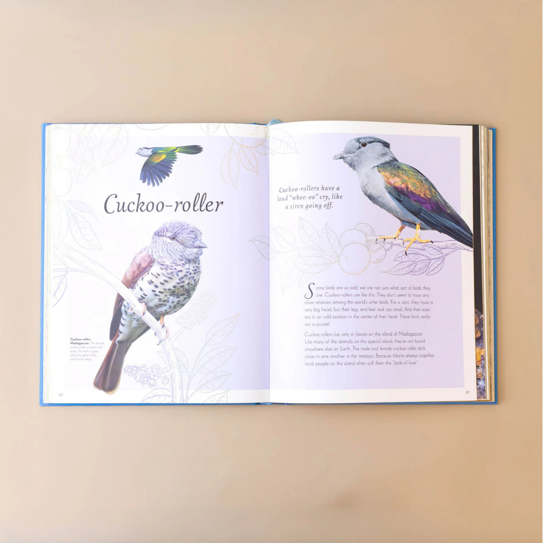 Anthology of Birds