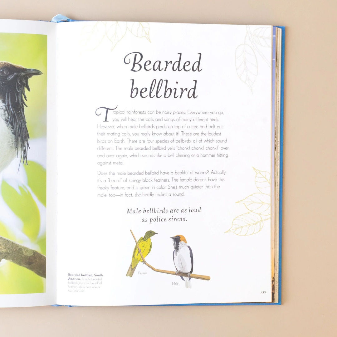Anthology of Birds