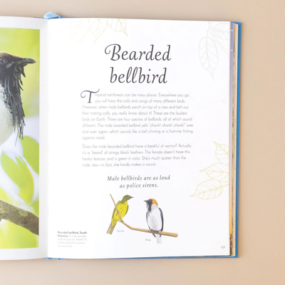 Anthology of Birds