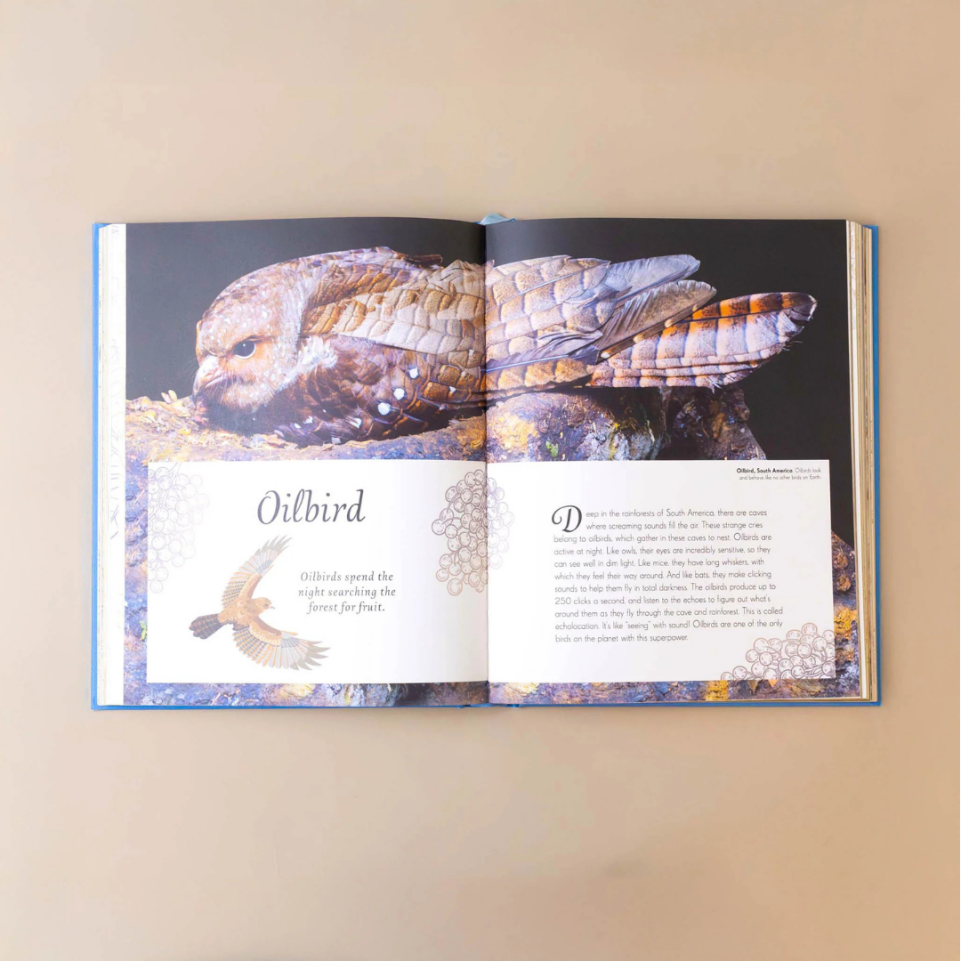Anthology of Birds
