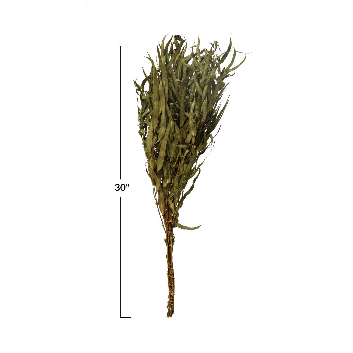 Dried Natural Eucalyptus Bunch