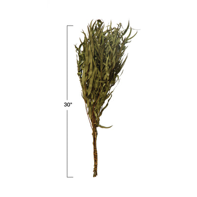 Dried Natural Eucalyptus Bunch