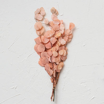 Dried Natural Eucalyptus Bunch, Salmon Color