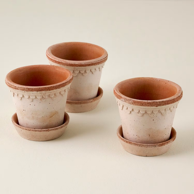 Bergs Københavner Terracotta Pot, Rosa, 10cm, 3 Pack