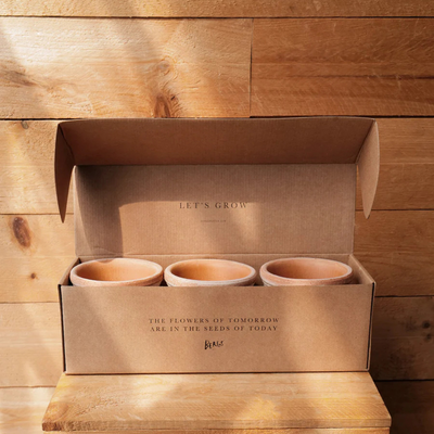 Bergs Københavner Terracotta Pot, Rosa, 10cm, 3 Pack