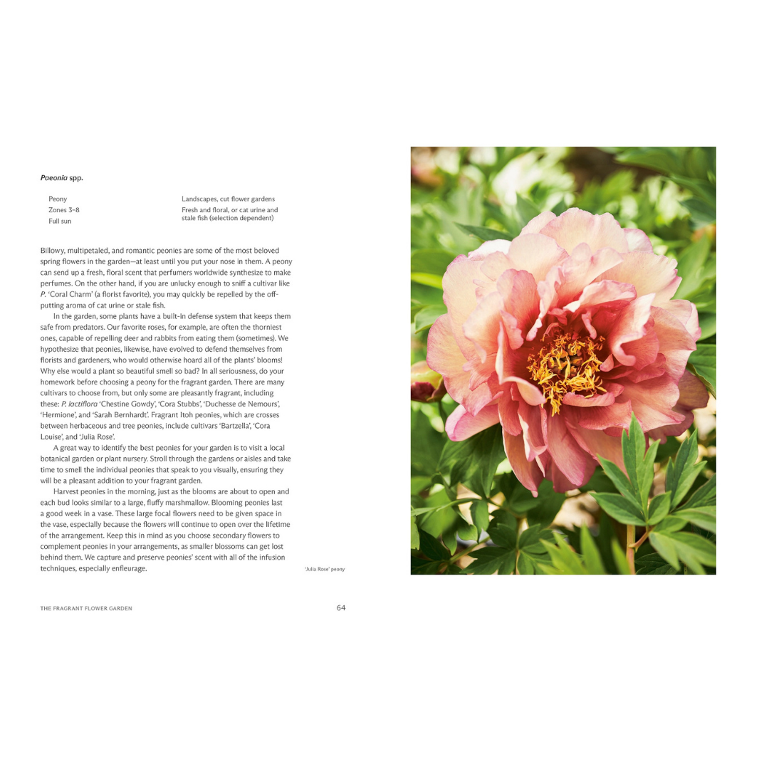 The Fragrant Flower Garden