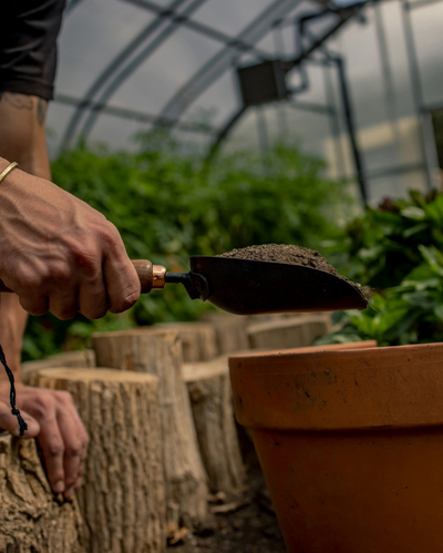Barebones Garden Scoop, Black