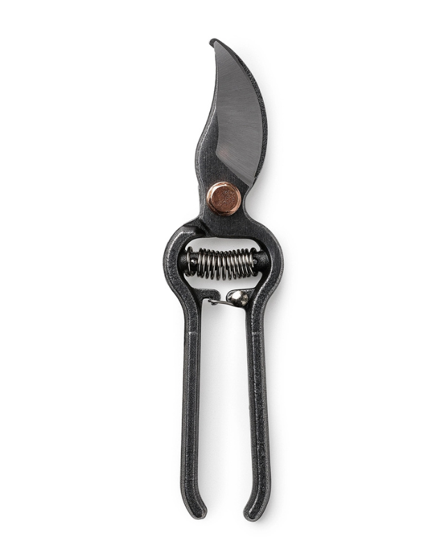 Barebones Premium Pruner