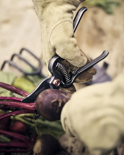 Barebones Premium Pruner
