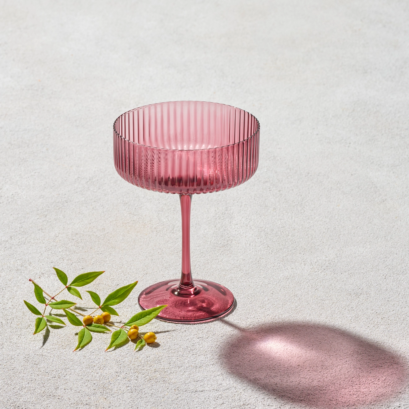 10 oz Champagne Coupe, Ribbed Glass, Rose
