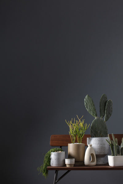 Tova Vase, Large