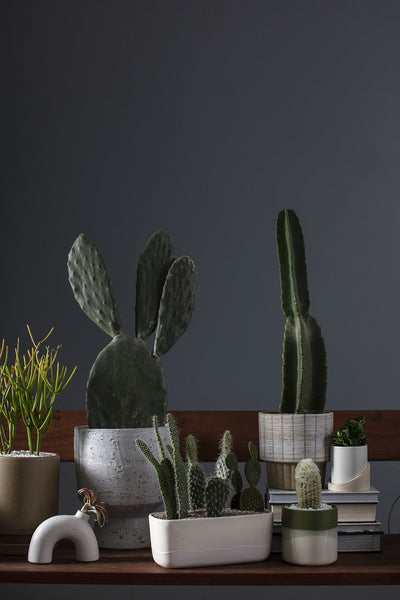 Brisbane Pot, Large
